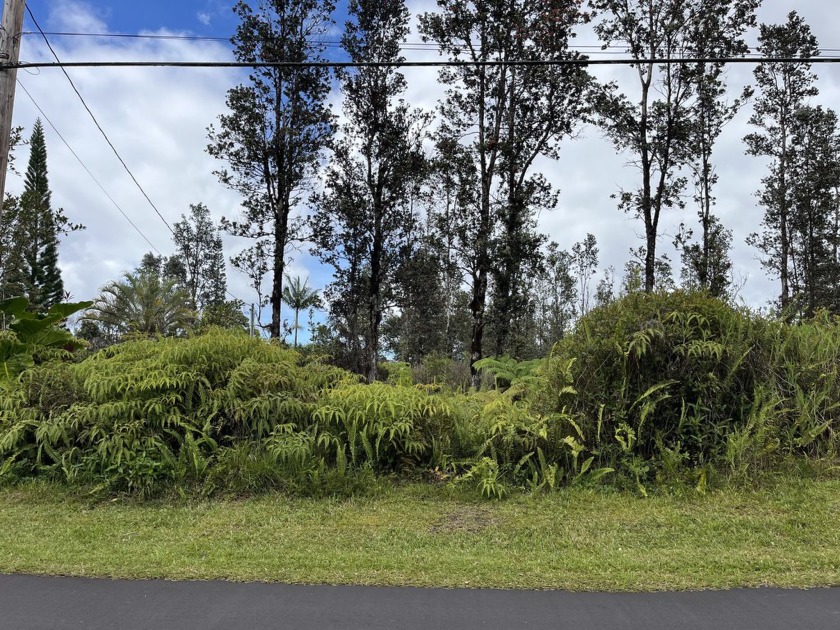 Gorgeous 2 acre Hawaii property in growing Fern Acres with - Beach Acreage for sale in Mountain View, Hawaii on Beachhouse.com
