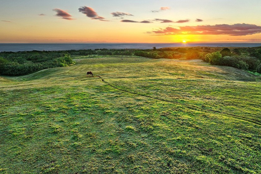 Located in the highly desirable Waipake area just outside of - Beach Acreage for sale in Kilauea, Hawaii on Beachhouse.com
