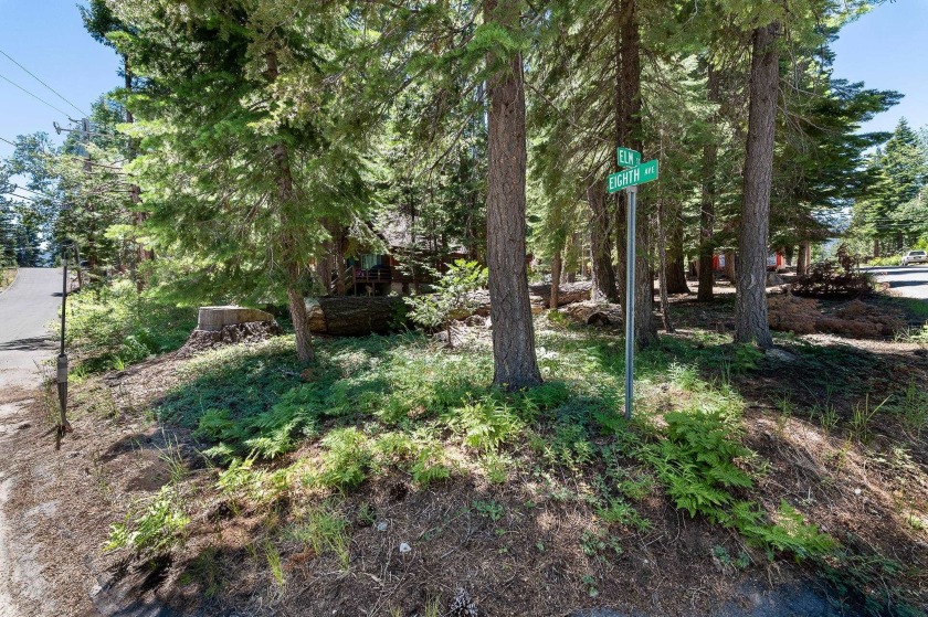 This is a fantastic, 50 x 125 level lot with an existing survey - Beach Lot for sale in Tahoma, California on Beachhouse.com