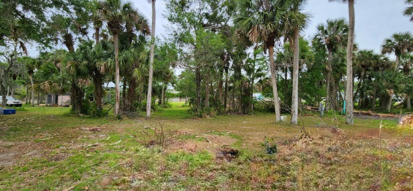 This home is being built. Construction starts this week.  Newest - Beach Home for sale in Cocoa, Florida on Beachhouse.com