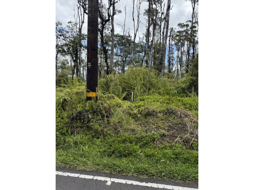 This property is easy to access on paved roads and features 5.66 - Beach Acreage for sale in Kurtistown, Hawaii on Beachhouse.com