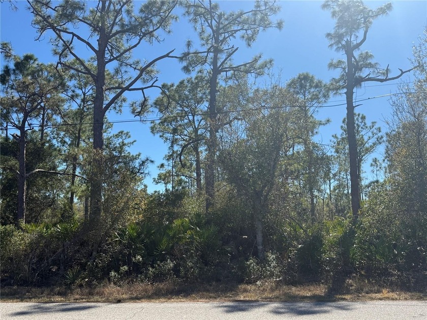 Welcome to the future site of your next project or dream home! - Beach Lot for sale in Punta Gorda, Florida on Beachhouse.com