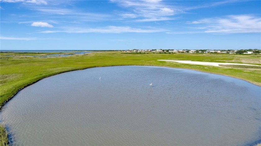 Adjacent to boggy nature preserve, a wonderfully pristine - Beach Acreage for sale in Port O Connor, Texas on Beachhouse.com