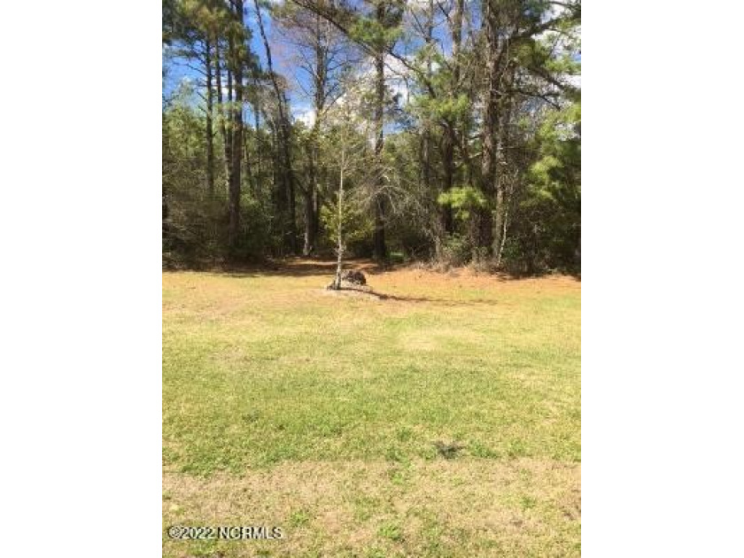 Great opportunity to build your dream home on almost a third of - Beach Lot for sale in New Bern, North Carolina on Beachhouse.com