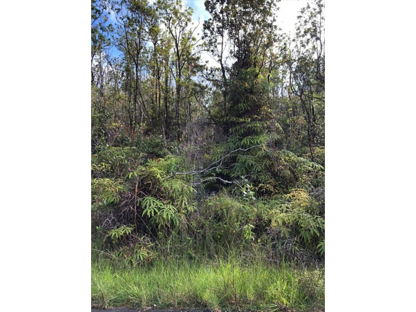 8,335 sq ft wooded houselot at Growing Pacific Paradise Mountain - Beach Lot for sale in Volcano, Hawaii on Beachhouse.com