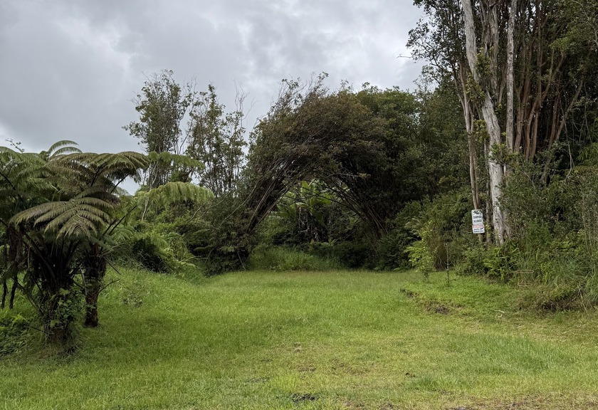 Discover a lush, wooded vacant lot offering a blend of natural - Beach Lot for sale in Volcano, Hawaii on Beachhouse.com