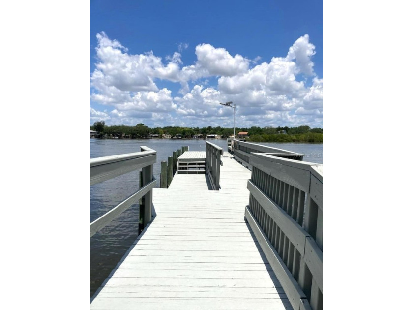 BRING YOUR BOAT OR JET SKIS!!! Enjoy the river lifestyle that is - Beach Home for sale in Gibsonton, Florida on Beachhouse.com