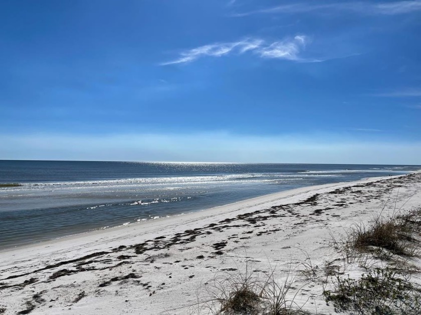 Beautiful Dog Island Gulf Front lot for sale.  Located within - Beach Lot for sale in Carabelle, Florida on Beachhouse.com