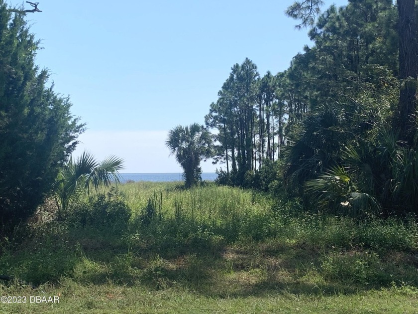 Excellent lot with Bay Views in beautiful peaceful  Carrabelle - Beach Lot for sale in Carabelle, Florida on Beachhouse.com
