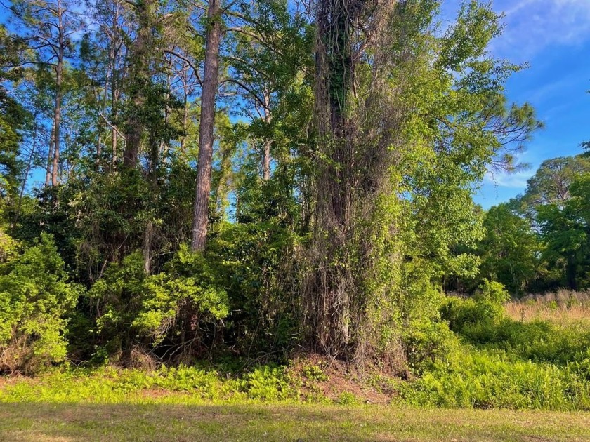 Nestled down Pinewood Avenue in charming Carrabelle, Florida - Beach Lot for sale in Lanark Village, Florida on Beachhouse.com