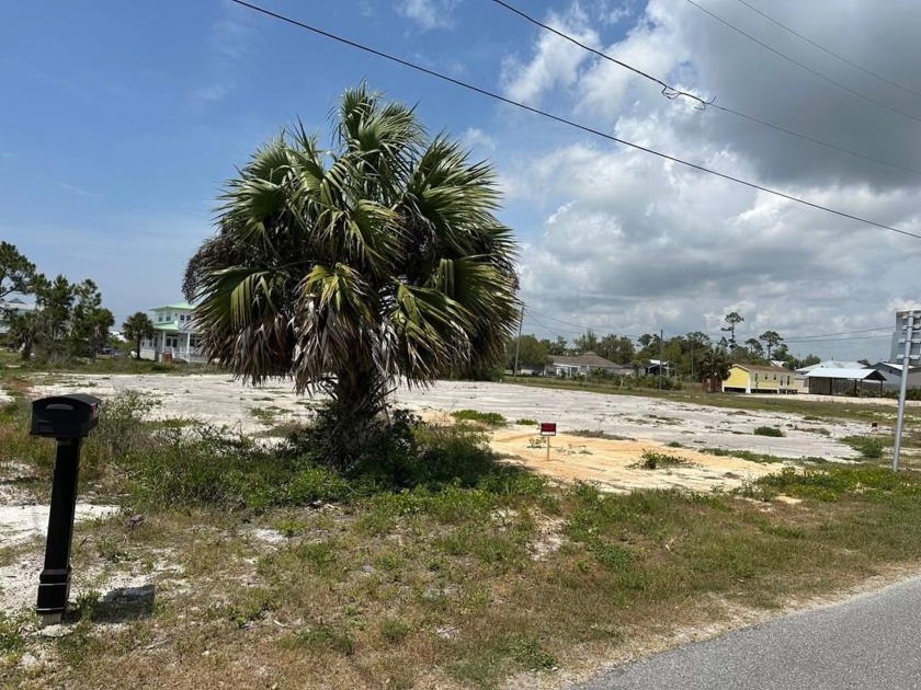 Three beautiful cleared lots ready to build on. Lots 14,15 - Beach Lot for sale in Port St Joe, Florida on Beachhouse.com