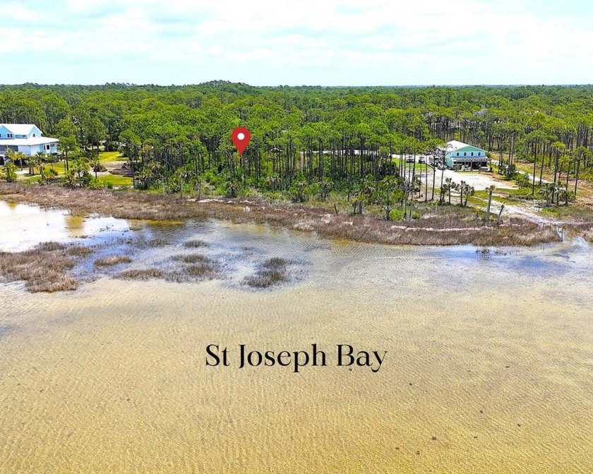 BAY FRONT! This 1.42-acre waterfront property features 115 feet - Beach Lot for sale in Port St Joe, Florida on Beachhouse.com