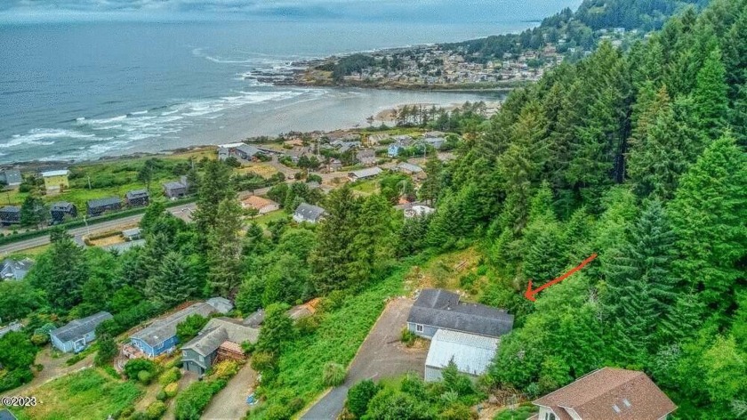 Gorgeous Panoramic Ocean Views, over 1 1/2 acres and located in - Beach Home for sale in Yachats, Oregon on Beachhouse.com
