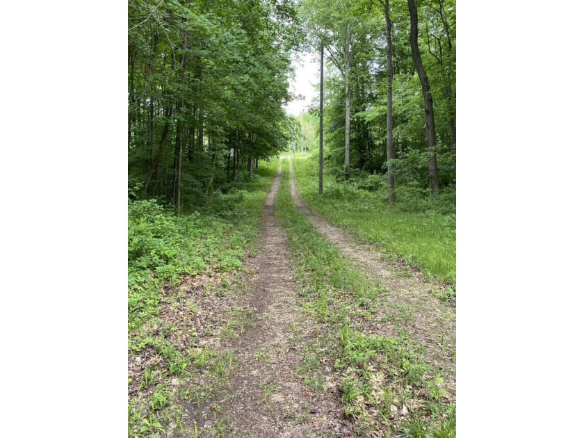 This is a wonderful parcel of land consisting of a total of 46 - Beach Acreage for sale in Coloma, Michigan on Beachhouse.com