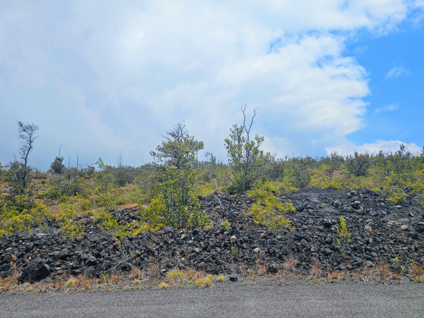 A rare offering of three contiguous lots in the upper portions - Beach Lot for sale in Ocean View, Hawaii on Beachhouse.com
