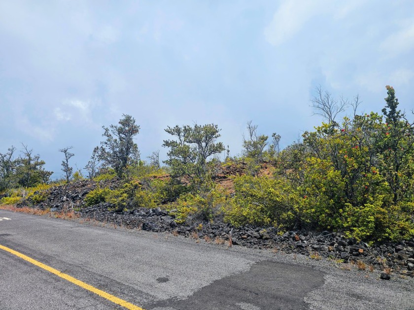 A rare offering of three contiguous lots in the upper portions - Beach Lot for sale in Ocean View, Hawaii on Beachhouse.com