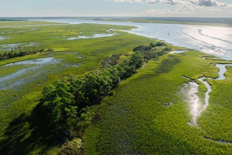 Here's your chance to own a private island! 0 Stono River - Beach Lot for sale in Charleston, South Carolina on Beachhouse.com