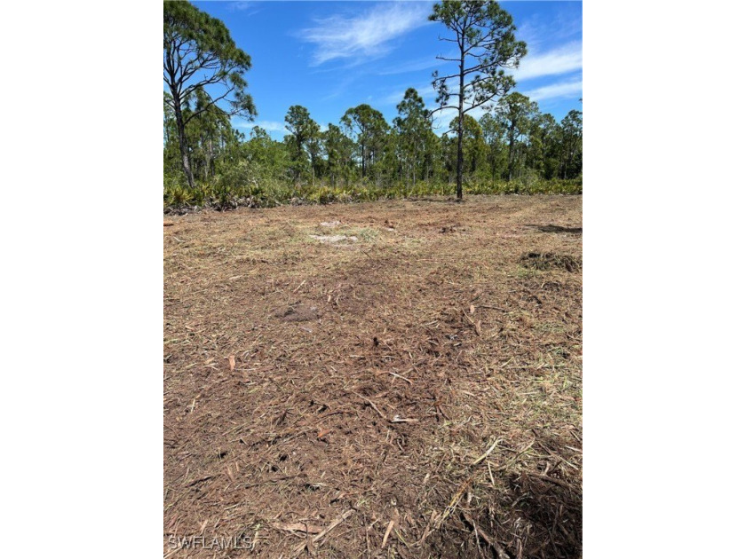 Check out this double lot in the Tropical Gulf Acres - Beach Lot for sale in Punta Gorda, Florida on Beachhouse.com