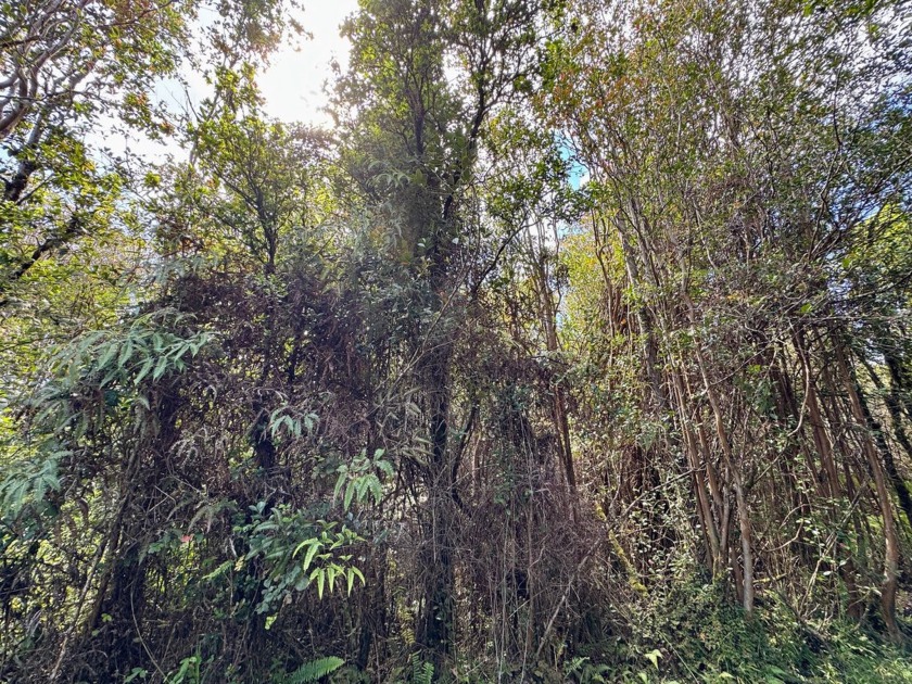 Wonderful lot in Aloha Estates to build your dream Hawaiian - Beach Lot for sale in Volcano, Hawaii on Beachhouse.com