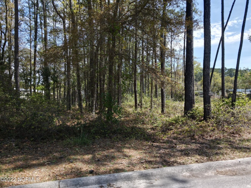 Beautiful homesite with water and sewer available only 1.5 miles - Beach Lot for sale in Supply, North Carolina on Beachhouse.com