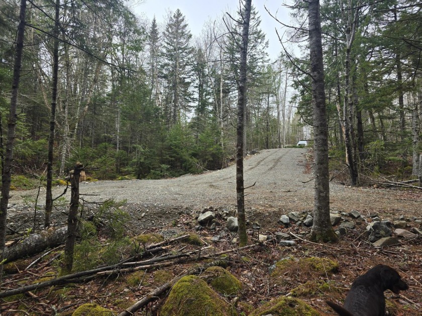 3.1 acres with existing driveway to a building site on - Beach Acreage for sale in Robbinston, Maine on Beachhouse.com