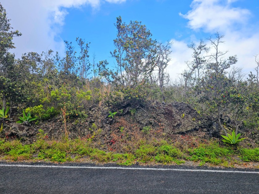Side-by-side lots in the upper portions of Hawaiian Ocean View - Beach Lot for sale in Ocean View, Hawaii on Beachhouse.com