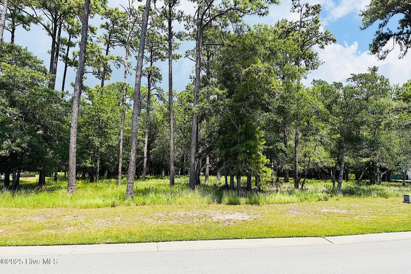 Build your dream home on this 0.48-acre lot in the sought-after - Beach Lot for sale in Southport, North Carolina on Beachhouse.com
