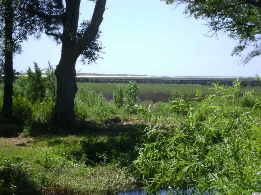 Beautiful inlet creek view with views that extend to the ocean - Beach Lot for sale in Pawleys Island, South Carolina on Beachhouse.com