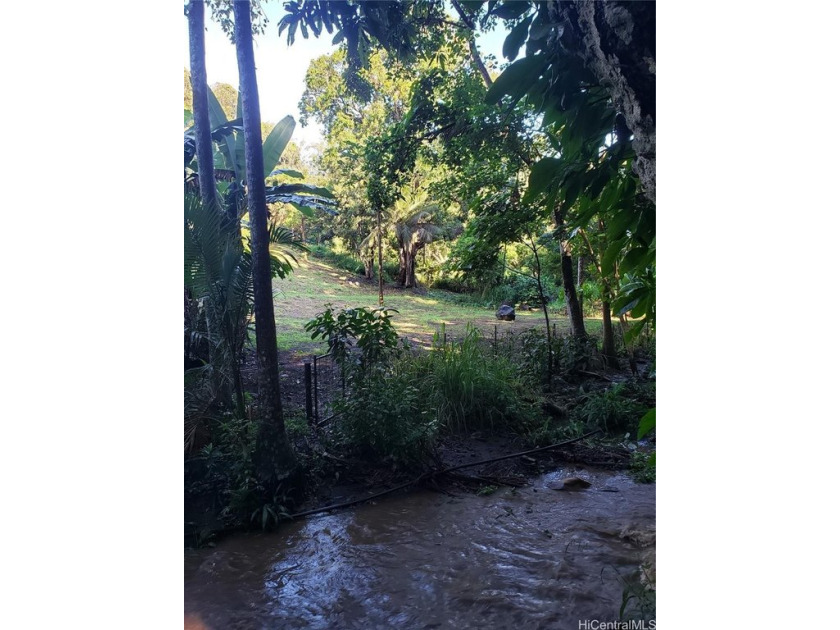 This extraordinary North Kohala property offers a rare blend of - Beach Home for sale in Kapaau, Hawaii on Beachhouse.com