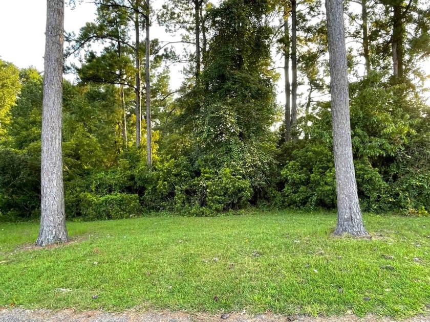 This rare lot offers the perfect setting to build your dream - Beach Lot for sale in Little River, South Carolina on Beachhouse.com