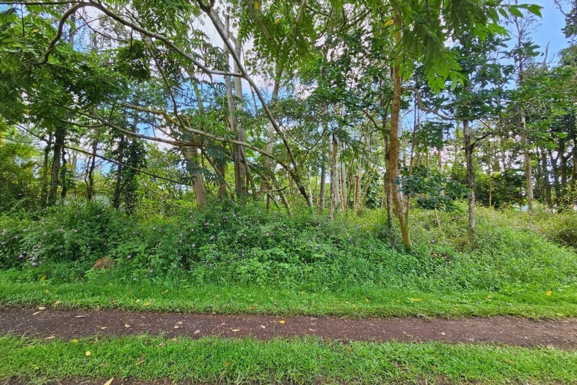 Discover the opportunity to own a piece of paradise on Priscilla - Beach Lot for sale in Pahoa, Hawaii on Beachhouse.com