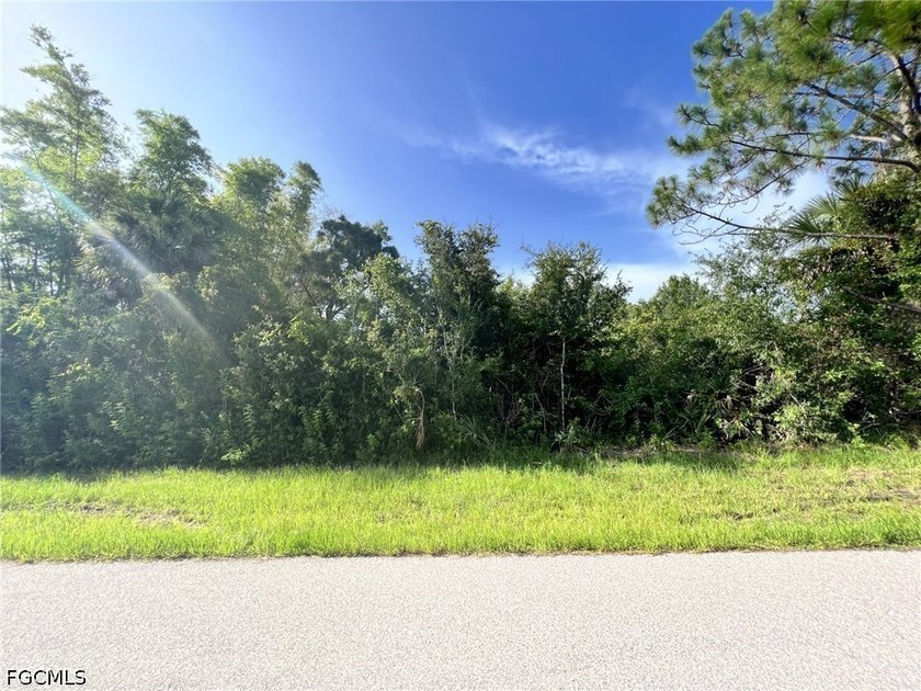 Beautiful lot offers a unique opportunity to build the home of - Beach Lot for sale in Port Charlotte, Florida on Beachhouse.com