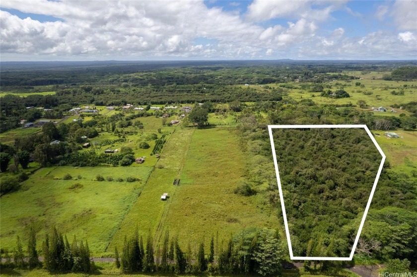 Replace traffic noises with wildflowers and birds chirping - Beach Lot for sale in Kurtistown, Hawaii on Beachhouse.com