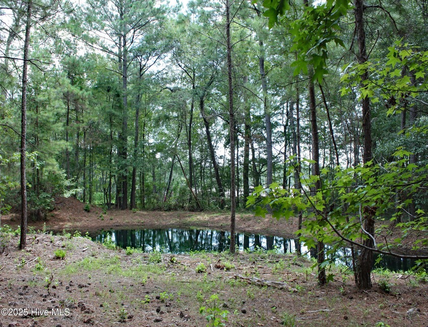 Looking for a large nicely wooded homesite in a low traffic - Beach Lot for sale in Ocean Isle Beach, North Carolina on Beachhouse.com