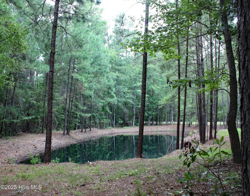 A wonderful large wooded homesite at the very end of Hanbury - Beach Lot for sale in Ocean Isle Beach, North Carolina on Beachhouse.com