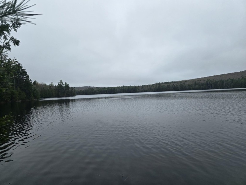 Seller finance possible on this 2.4 acres with existing driveway - Beach Acreage for sale in Robbinston, Maine on Beachhouse.com