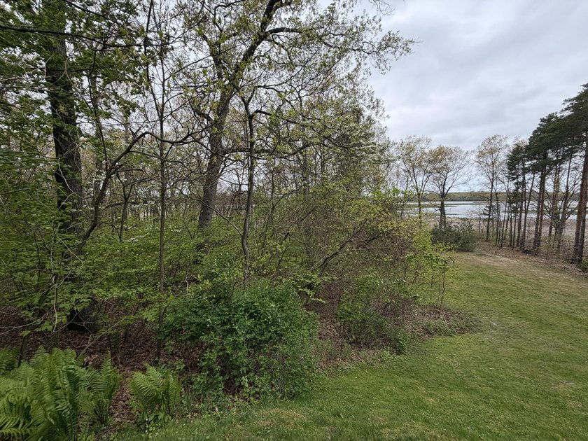 Don't miss this rare opportunity! This vacant Lot in prestigious - Beach Lot for sale in Saugatuck, Michigan on Beachhouse.com