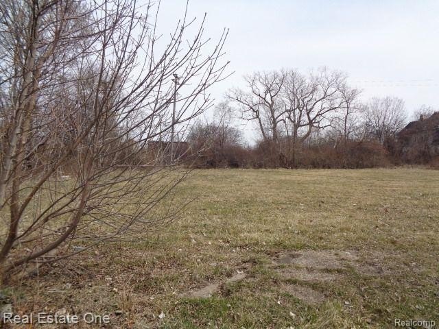 Welcome to the latest offering from the Detroit Land Bank - Beach Lot for sale in Detroit, Michigan on Beachhouse.com