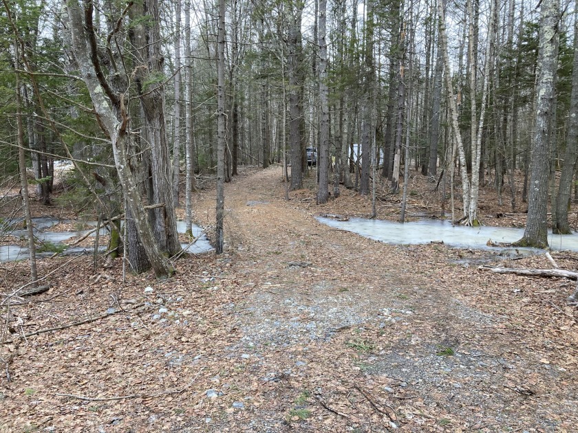 Surveyed and mostly wooded 0.58 acre building site.  Quiet - Beach Lot for sale in Harpswell, Maine on Beachhouse.com