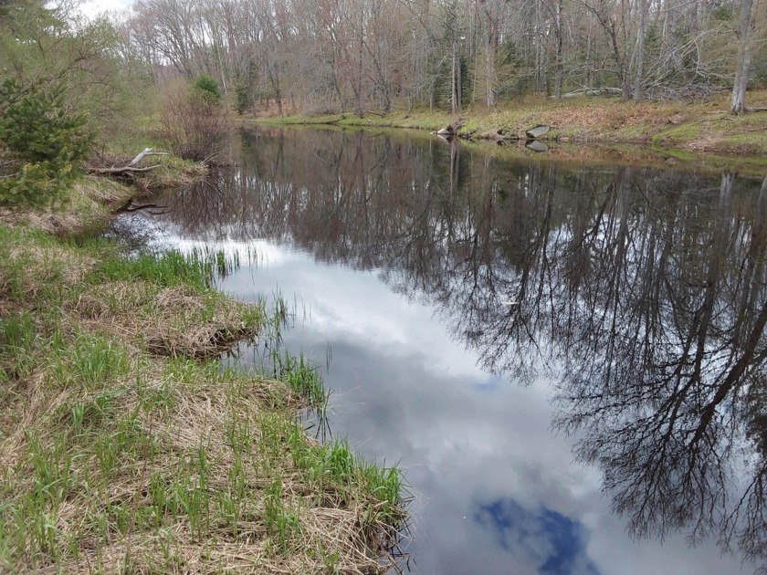 202 beautiful feet along the Medomak River!  This 4.6 acre lot - Beach Acreage for sale in Waldoboro, Maine on Beachhouse.com