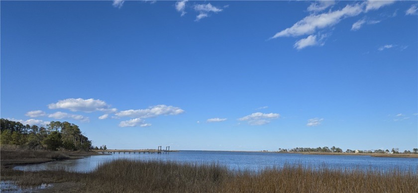 Welcome to 11.3 acres of gorgeous waterfront land on Stoakes - Beach Acreage for sale in Moon, Virginia on Beachhouse.com