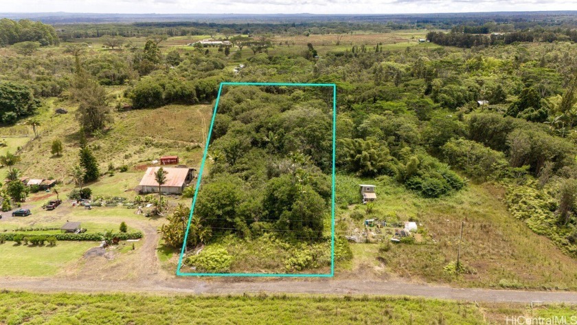 Build your future on this one-acre parcel in the Maunalani Lots - Beach Lot for sale in Mountain View, Hawaii on Beachhouse.com