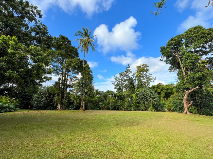 Opaeka'a Stream - Unit 5 - of Wailua Oasis - Seller will - Beach Lot for sale in Kapaa, Hawaii on Beachhouse.com