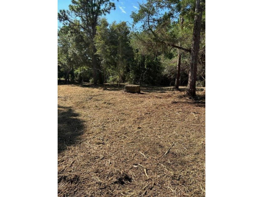 Build Your Florida Dream Home - 1 Acre in Coastal Lanark Escape - Beach Lot for sale in Carabelle, Florida on Beachhouse.com