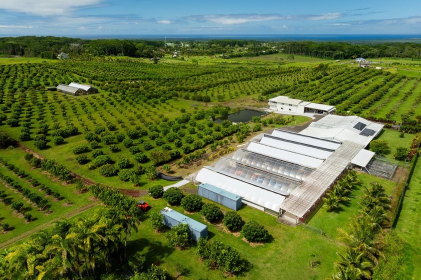 Turnkey Income-Producing Orchard Estate with Two Homes - Beach Acreage for sale in Kurtistown, Hawaii on Beachhouse.com