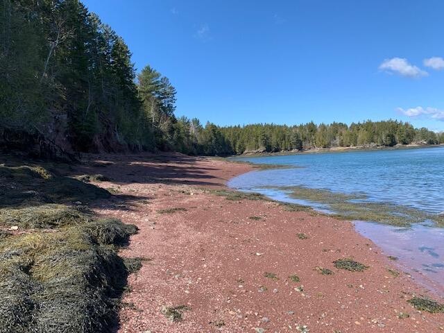 Your chance to purchase  waterfront acreage  in Maine.  Quiet - Beach Acreage for sale in Pembroke, Maine on Beachhouse.com