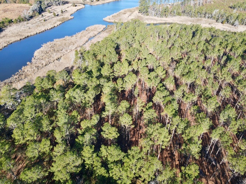 Located in Beaufort County, North Carolina, this exceptional - Beach Acreage for sale in Aurora, North Carolina on Beachhouse.com