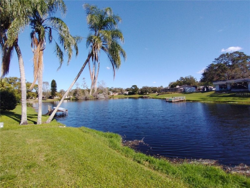 Welcome to your waterfront oasis. This 3 bedroom 2 bath home - Beach Home for sale in Tarpon Springs, Florida on Beachhouse.com