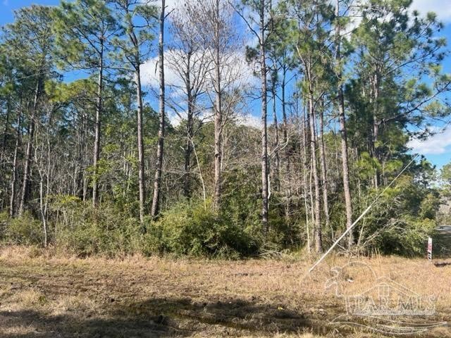 Approximately 1/2 Acre Interior Lot located in a waterfront - Beach Lot for sale in Milton, Florida on Beachhouse.com