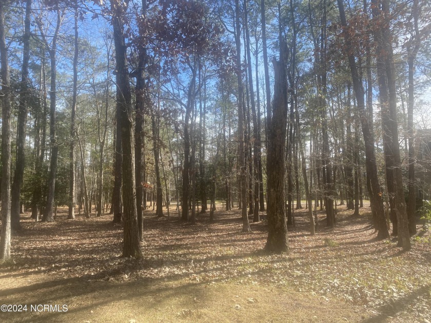 Gorgeous homesite in the amenity rich golf community of Rivers - Beach Lot for sale in Shallotte, North Carolina on Beachhouse.com